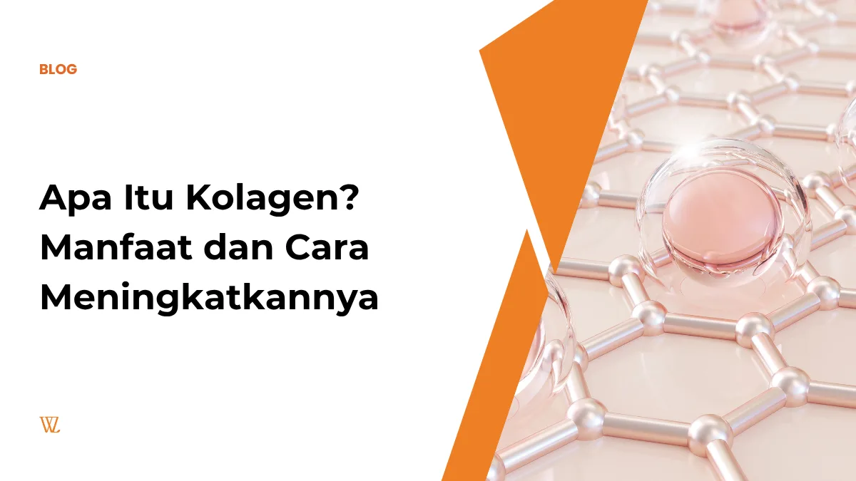 apa itu kolagen
